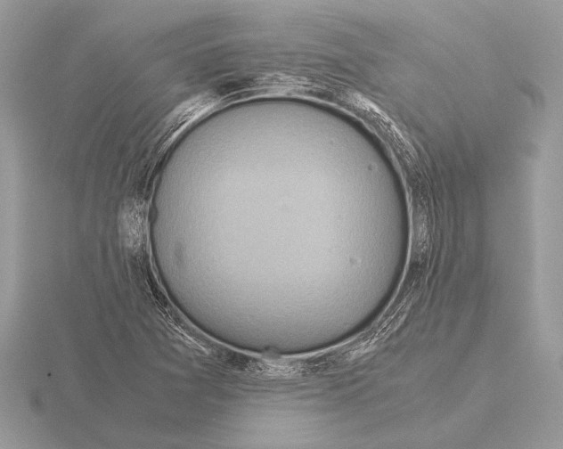 X0000115311361200912141128