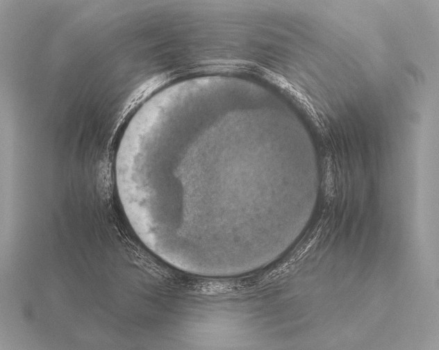 X0000115311362200912141128