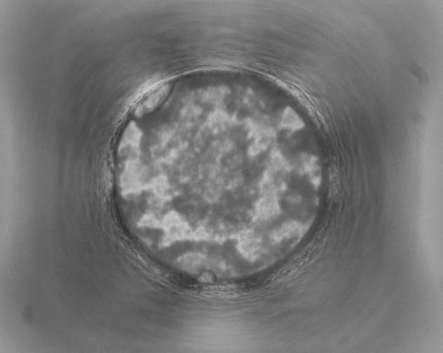 X0000115311363200912141128