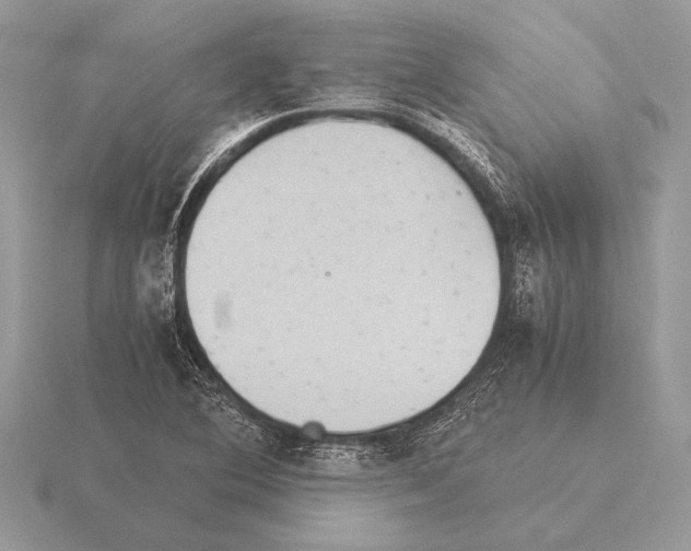 X0000115311364200912141128