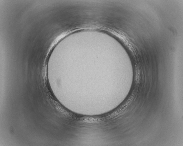 X0000115311366200912141128