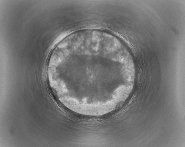 X0000115311367200912141128