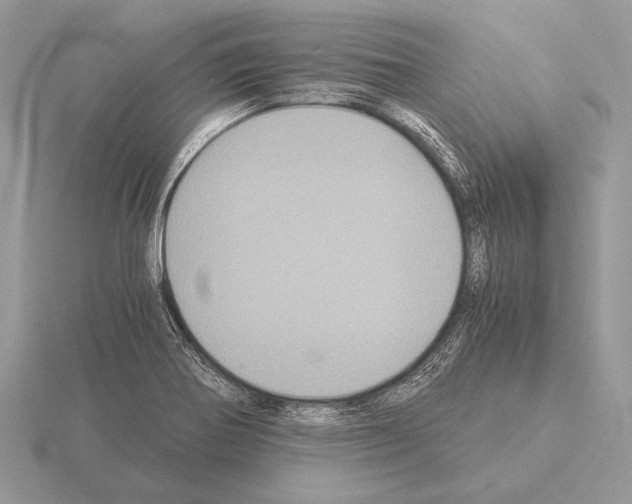 X0000115311370200912141128