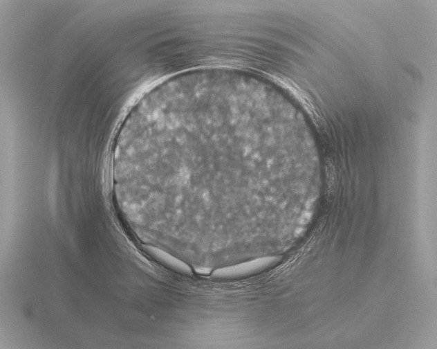 X0000115311371200912141128