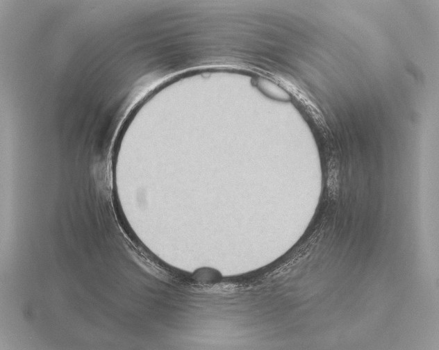 X0000115311372200912141128