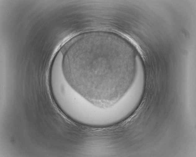 X0000115311373200912141128