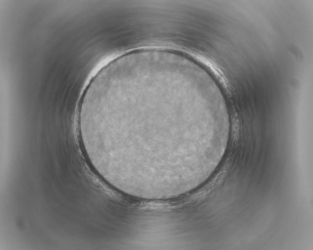 X0000115311374200912141128