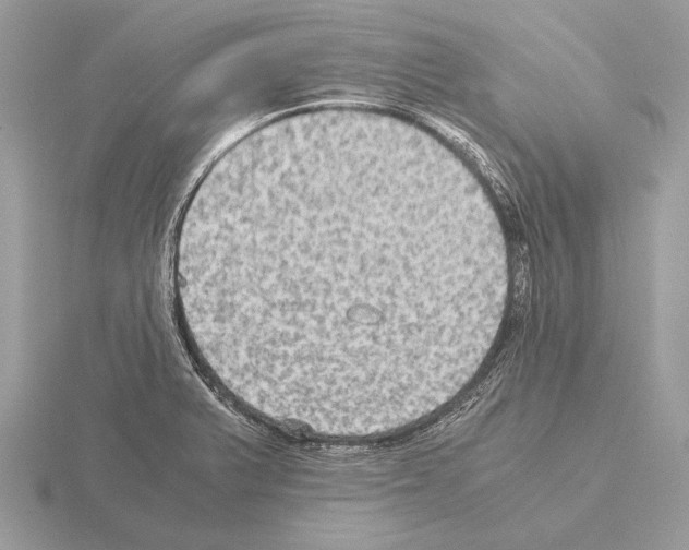 X0000115311375200912141128