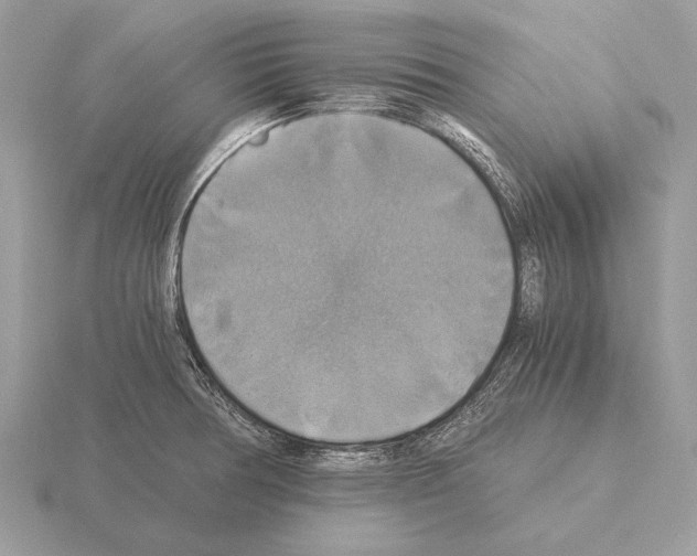 X0000115311378200912141128