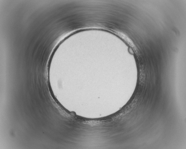 X0000115311380200912141128