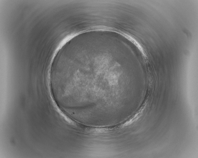 X0000115311381200912141128