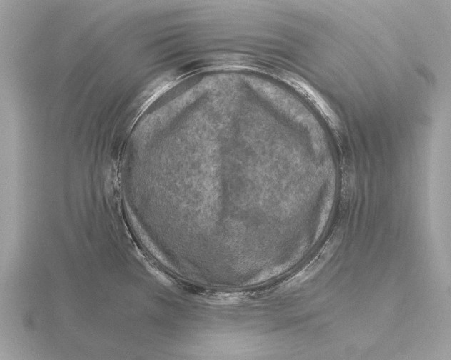 X0000115311385200912141128