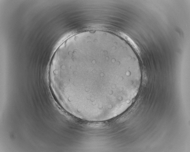 X0000115311386200912141128