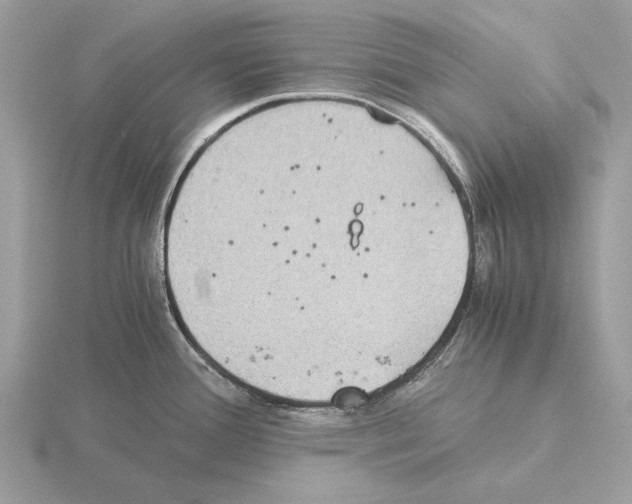 X0000115311388200912141128