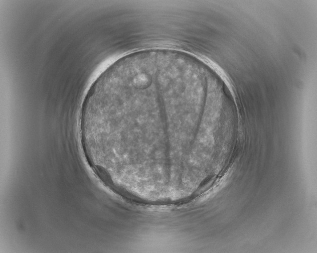 X0000115311389200912141128