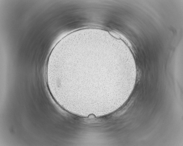 X0000115311391200912141128