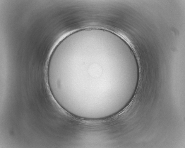 X0000115311392200912141128