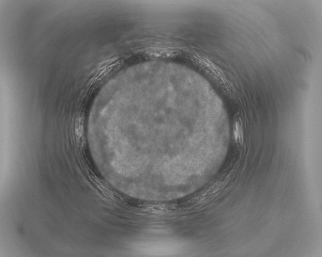 X0000115311396200912141127