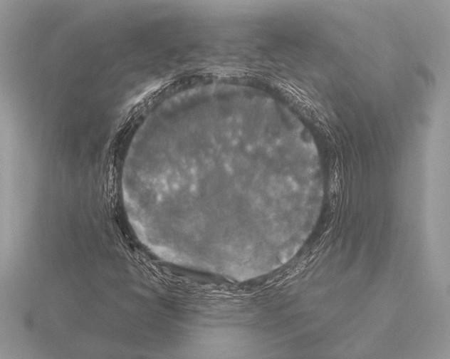 X0000115311398200912141127