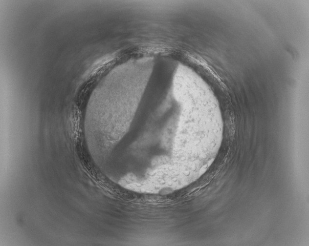 X0000115311399200912141127