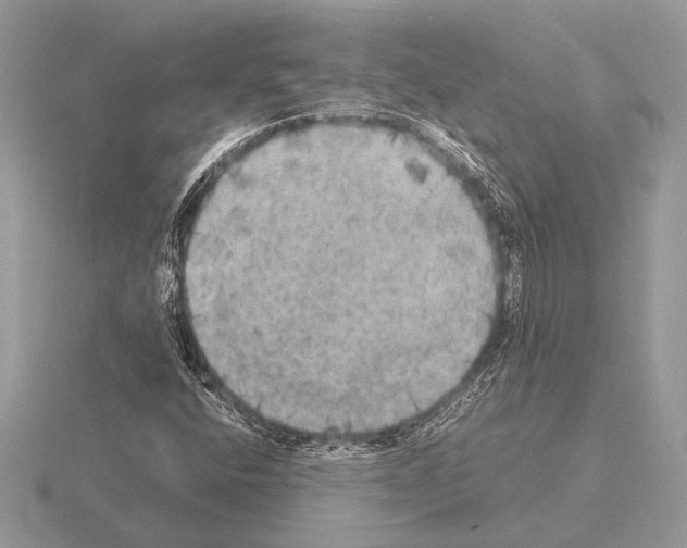 X0000115311400200912141127