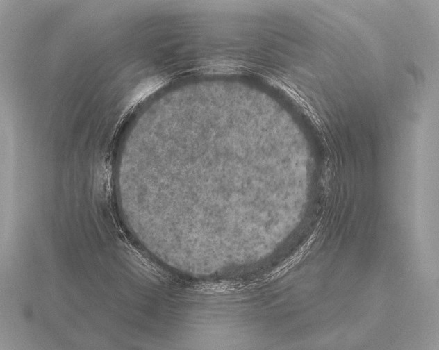 X0000115311402200912141127