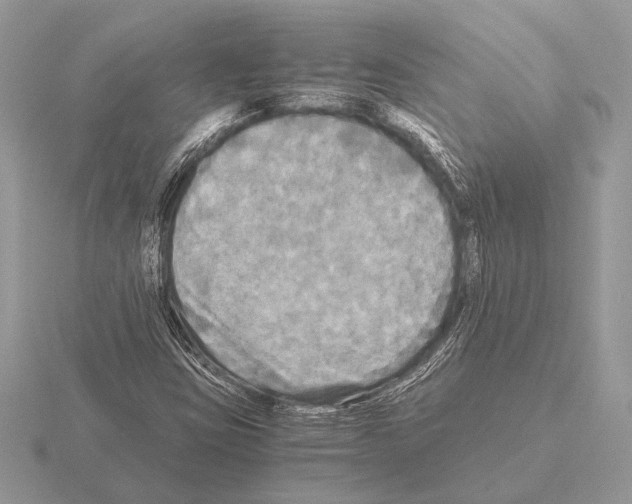 X0000115311403200912141127