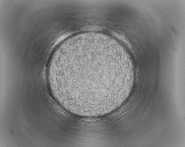 X0000115311404200912141127