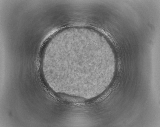 X0000115311406200912141127