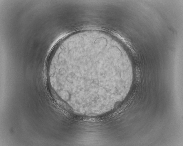 X0000115311408200912141127