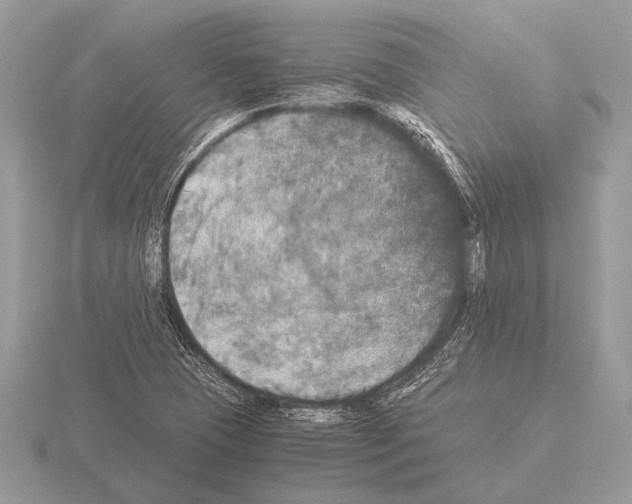 X0000115311409200912141127