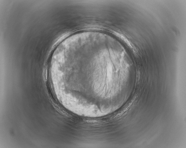 X0000115311413200912141127