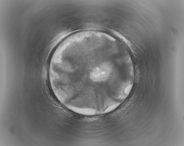 X0000115311415200912141127