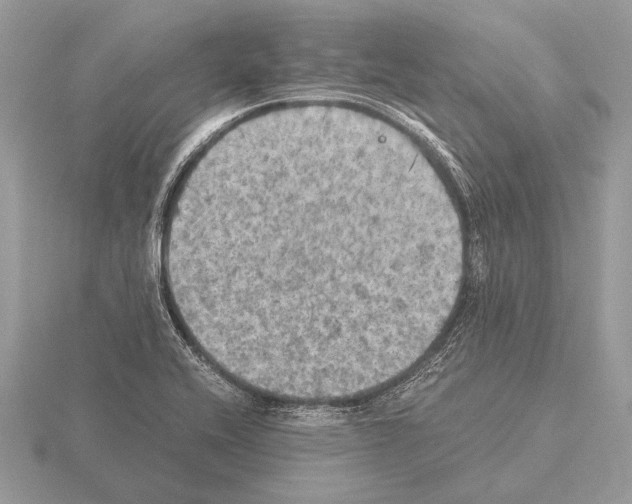 X0000115311416200912141127