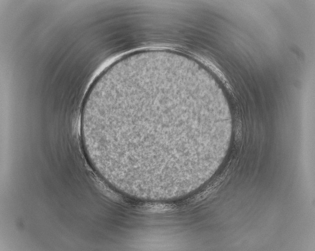 X0000115311420200912141128