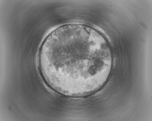 X0000115311421200912141128