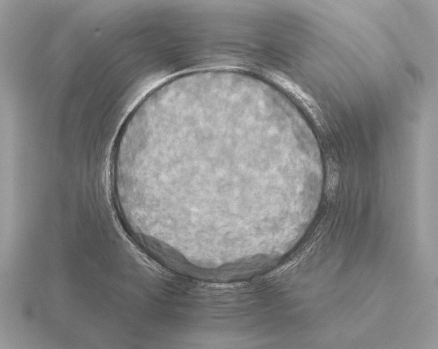 X0000115311423200912141128