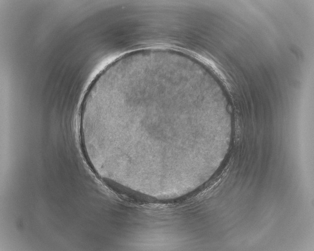 X0000115311424200912141128