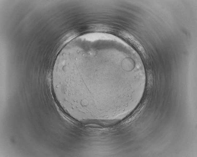 X0000115311425200912141128