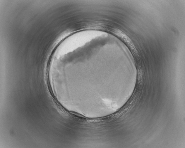 X0000115311427200912141128