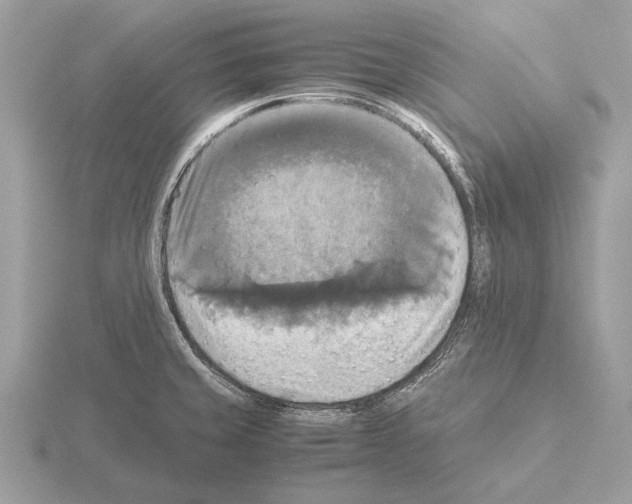 X0000115311429200912141128