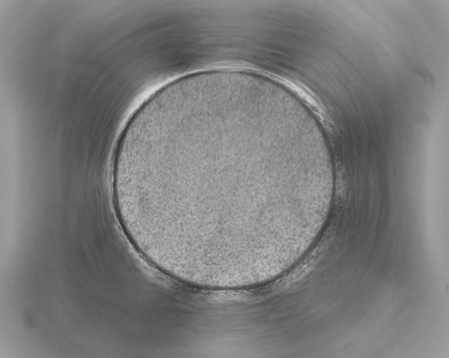 X0000115311430200912141128