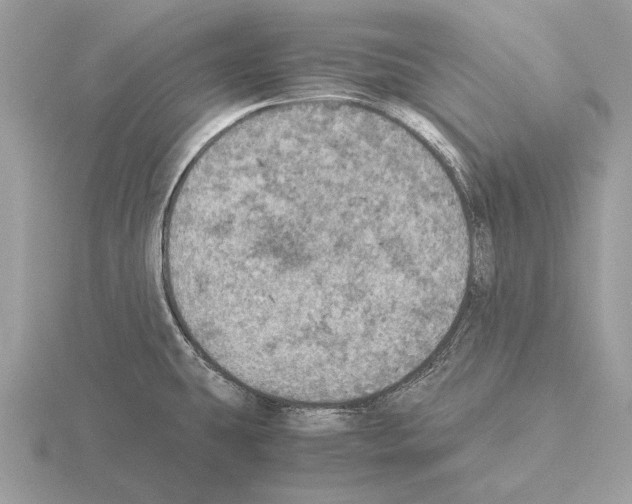 X0000115311431200912141128