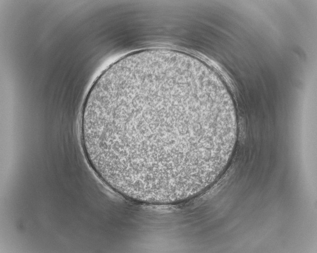 X0000115311432200912141128