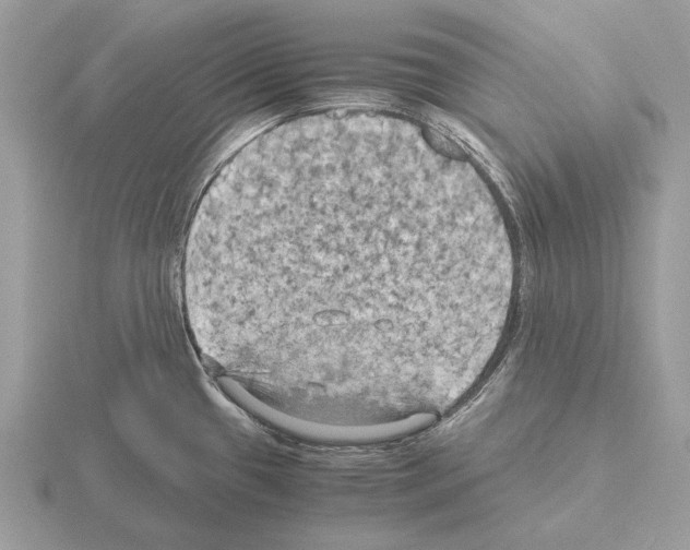 X0000115311433200912141128