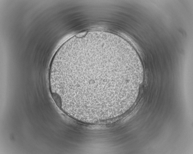 X0000115311434200912141128