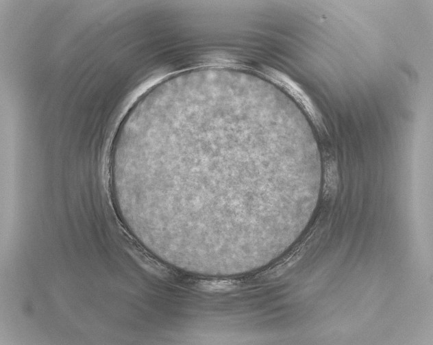 X0000115311435200912141128