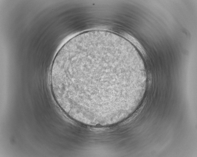 X0000115311436200912141128