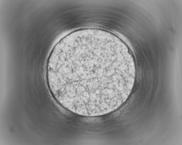 X0000115311437200912141128