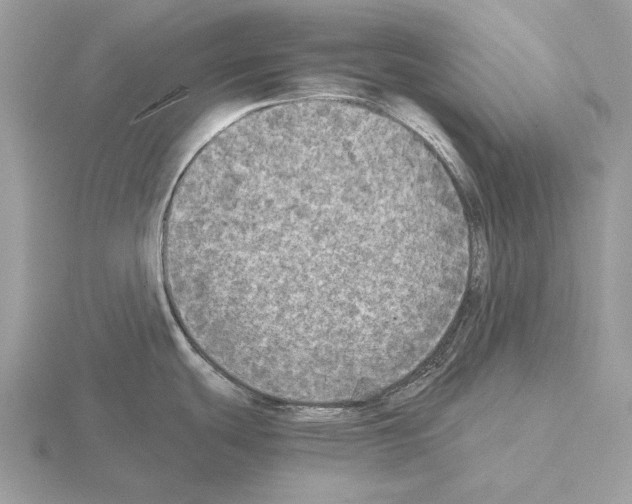 X0000115311439200912141128